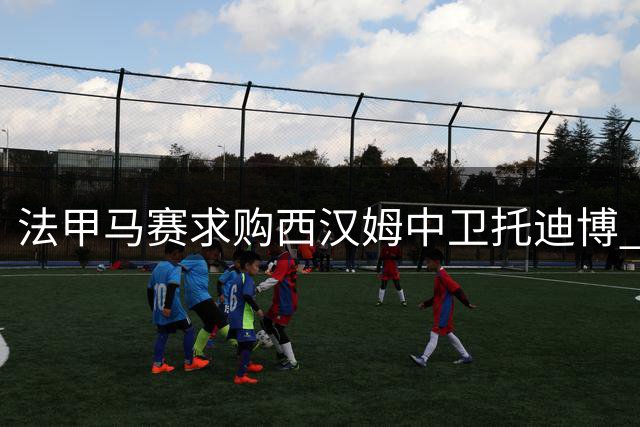 法甲马赛求购西汉姆中卫托迪博 转会谈判已开启