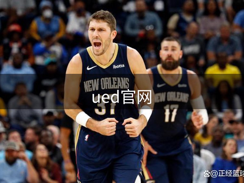 网站概况